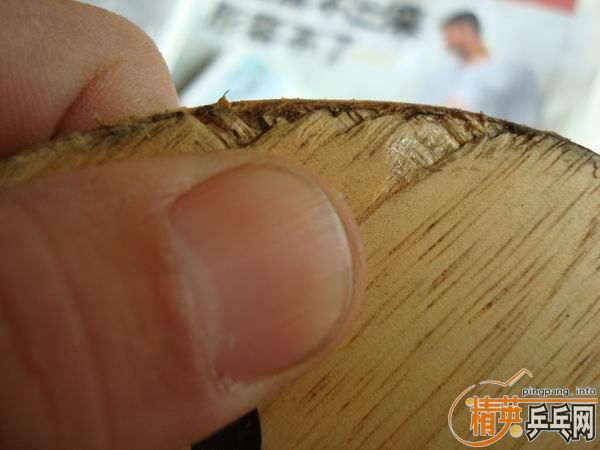 �������ú���butterfly\�Ʊ���korbel\ƹ������\�װ�