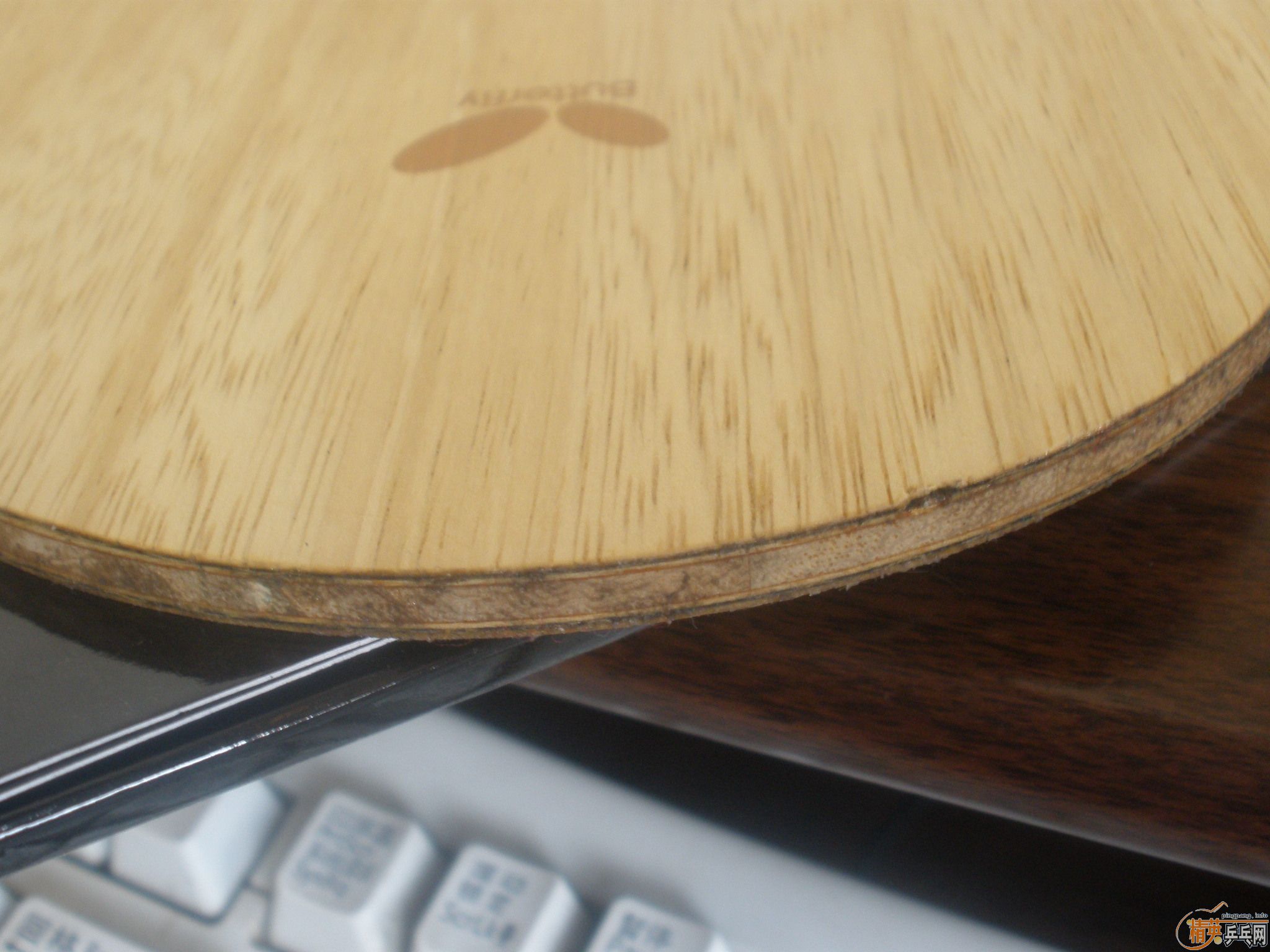 ��ˮ������������Ӻ����麣��Ƥ