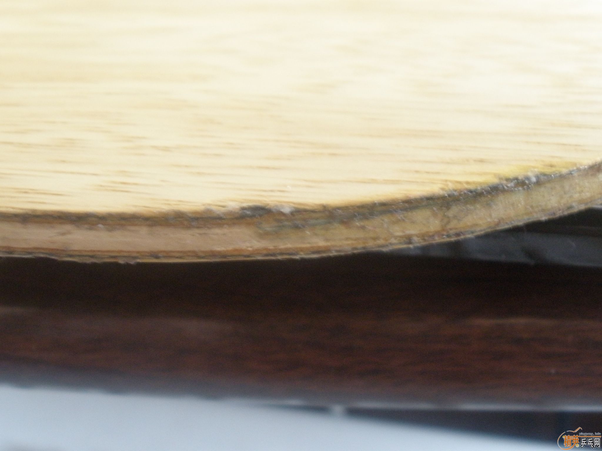 ��ˮ������������Ӻ����麣��Ƥ