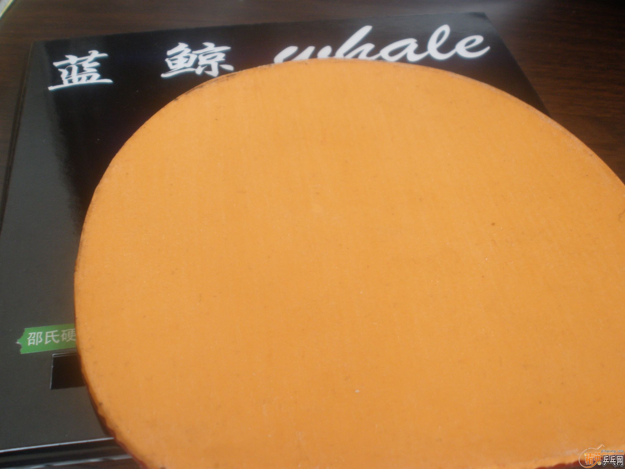 ��ˮ������������Ӻ����麣��Ƥ