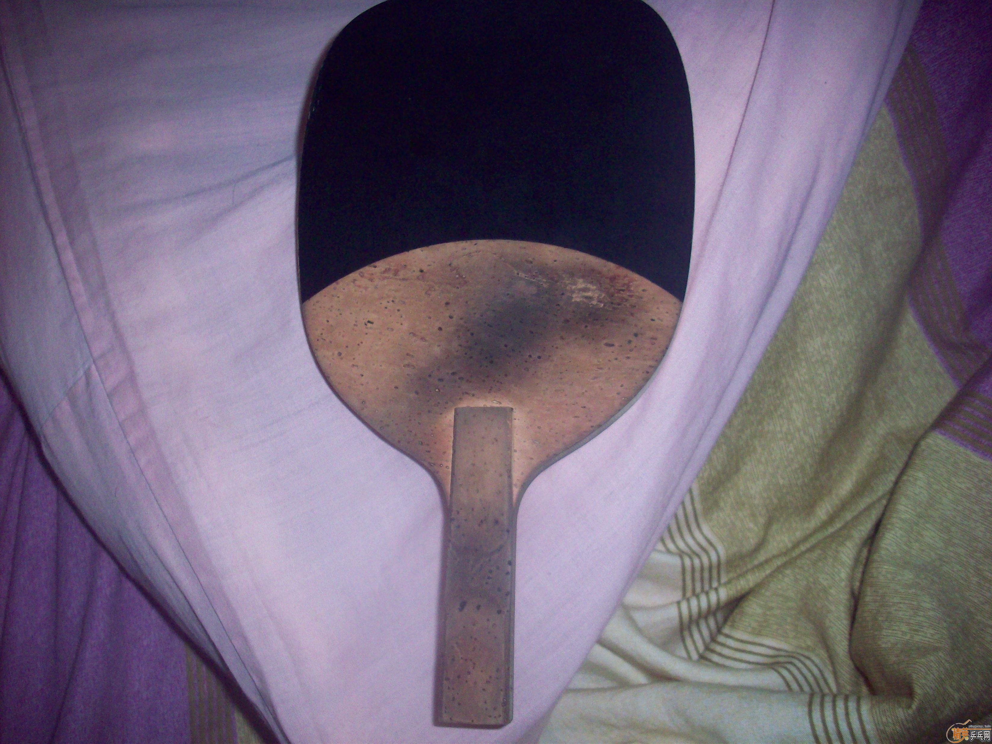 ��������CYPRESS-S