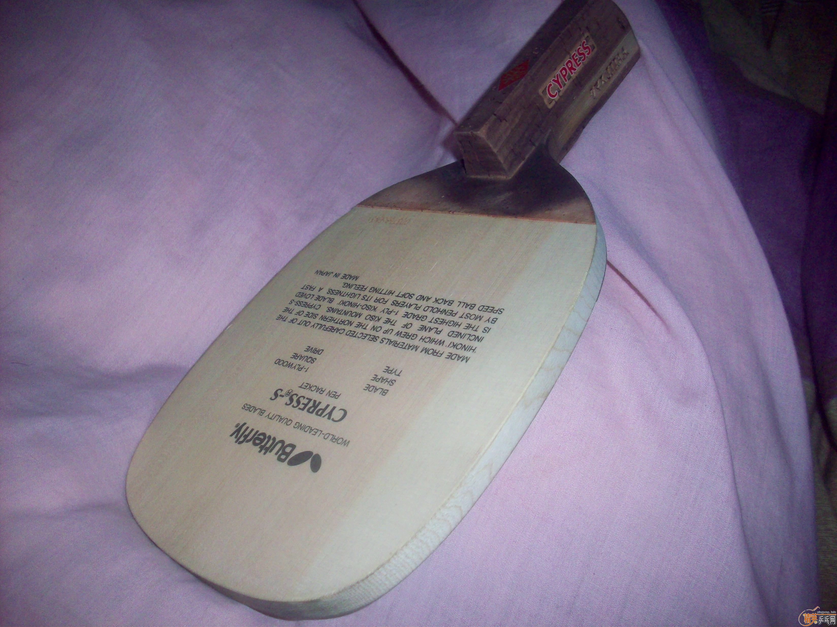 ��������CYPRESS-S