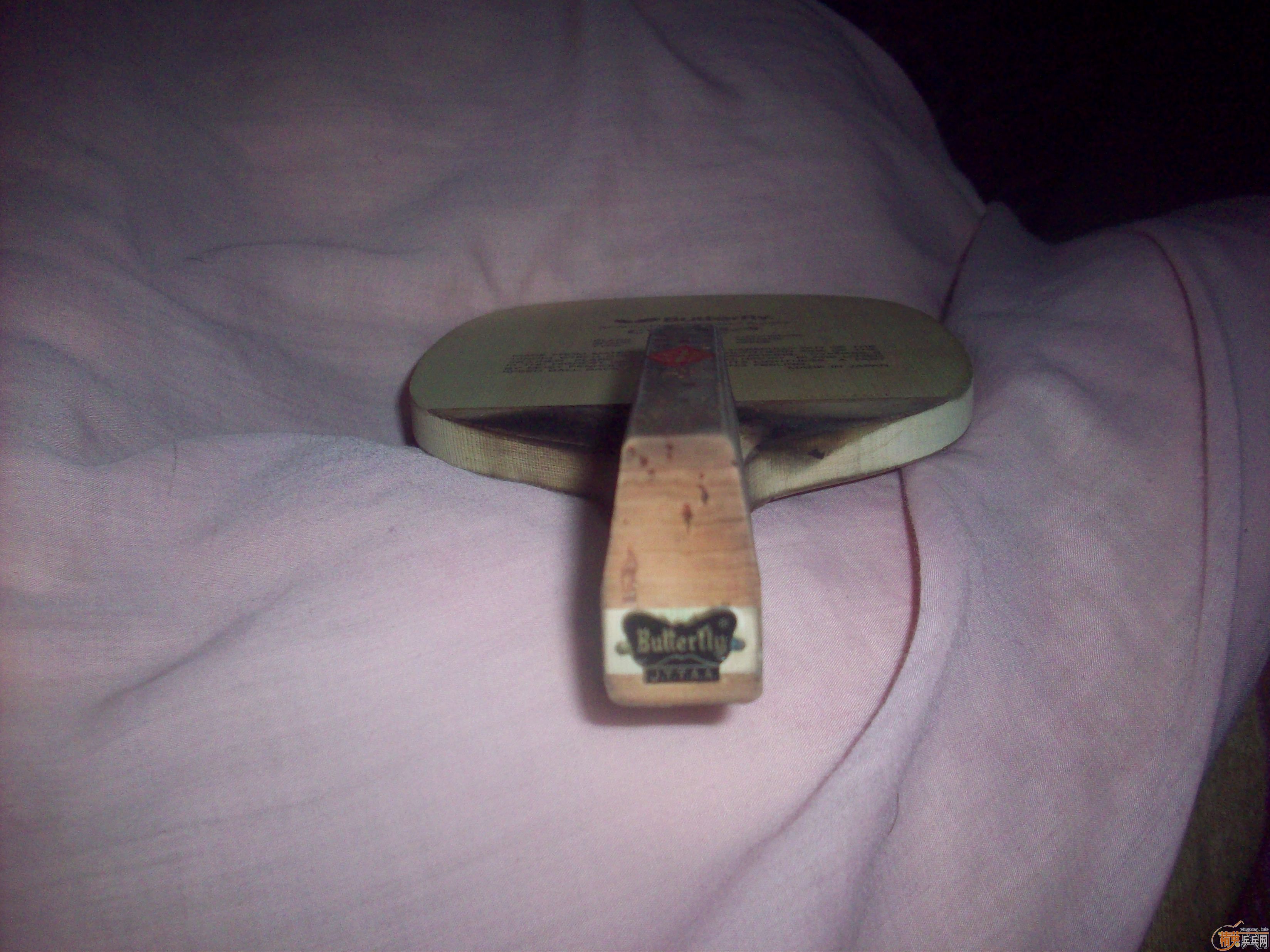 ��������CYPRESS-S