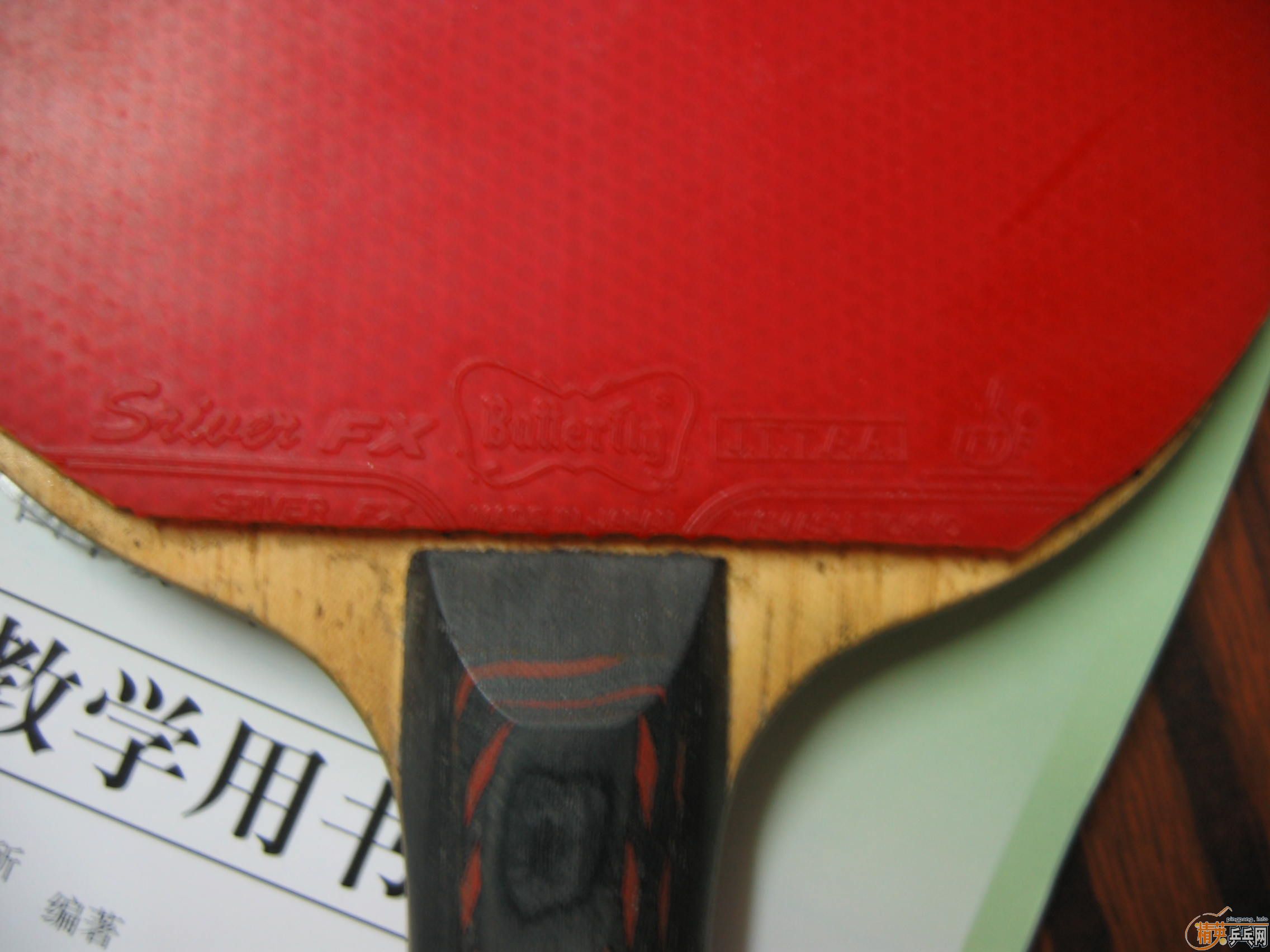 ͦ����������-S������