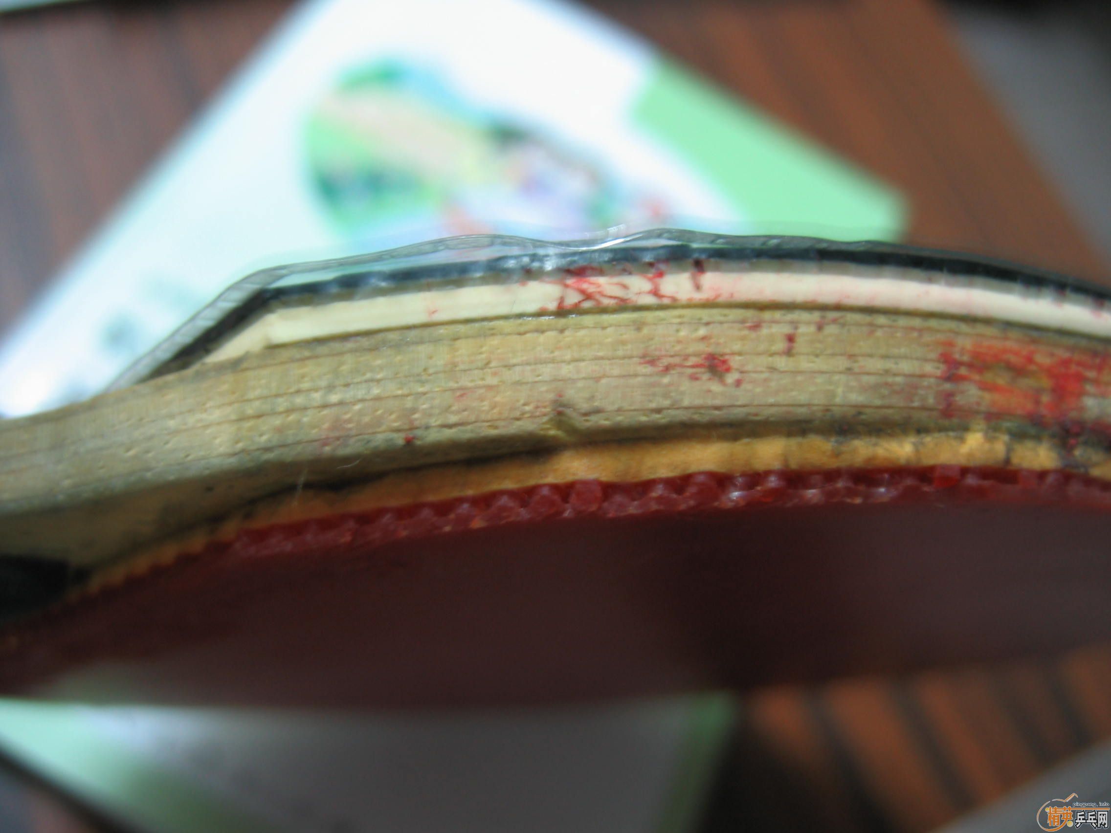 ͦ����������-S������