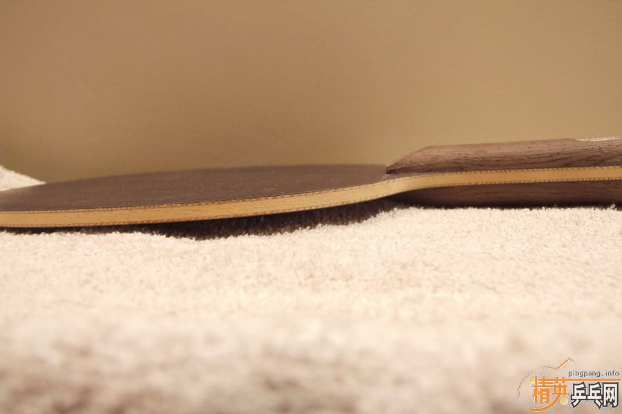 ���������ƣ�������