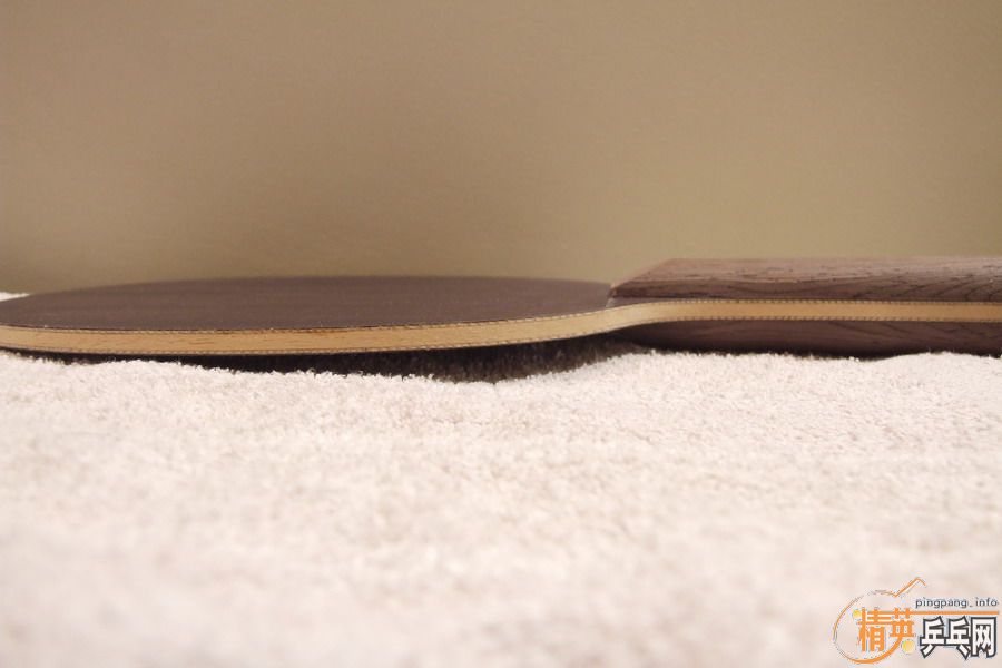 ���������ƣ�������