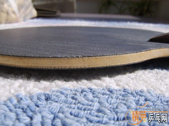 �ؼ�һֻ��˫ϲ�ع����,600Ԫ��