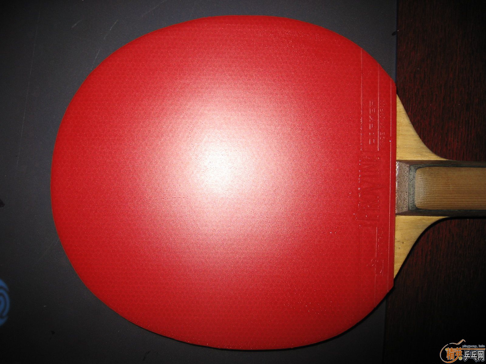 �������ټ���DARKER��Ȼ�׽�Provine