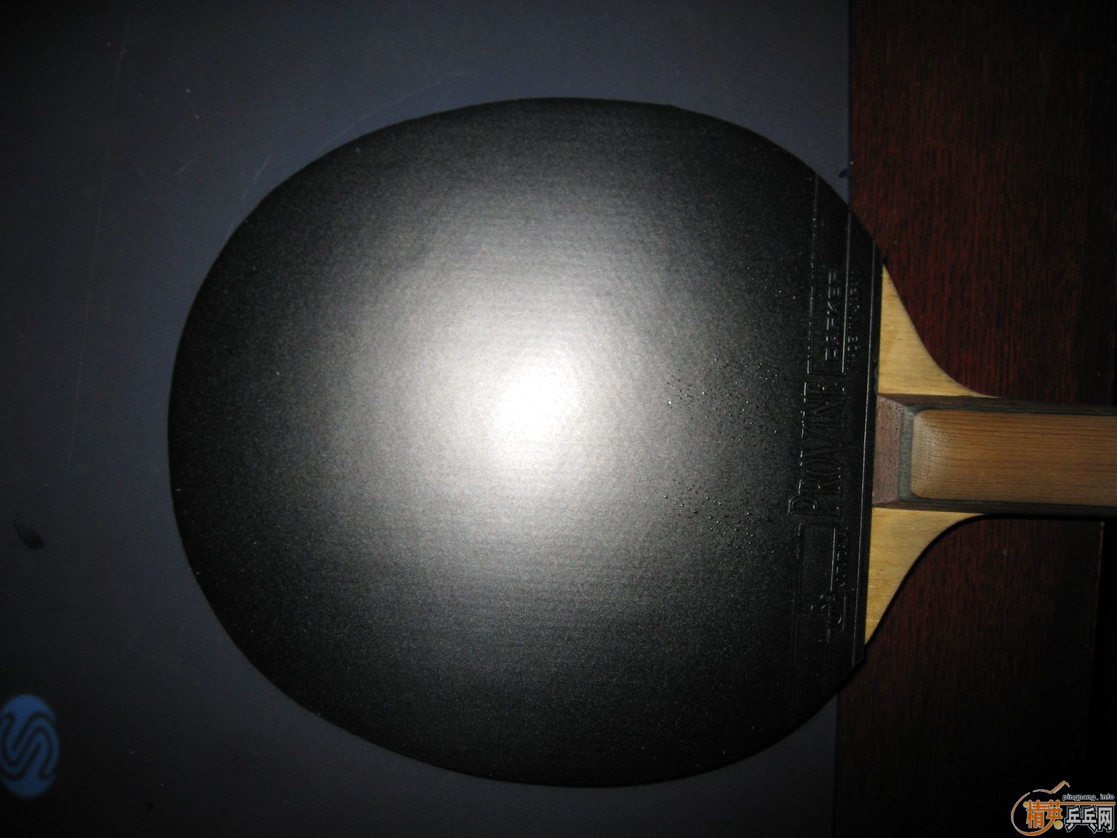 �������ټ���DARKER��Ȼ�׽�Provine