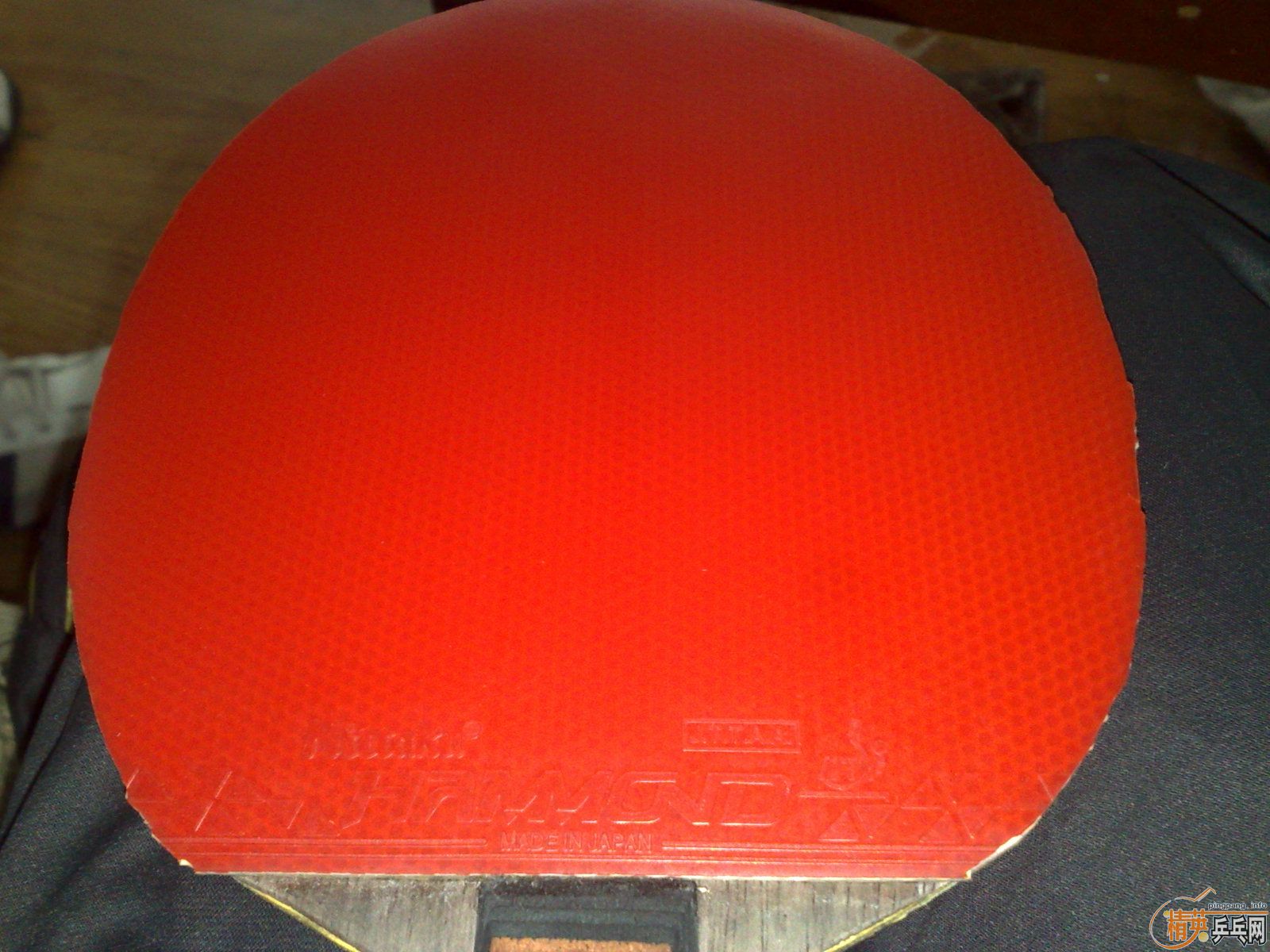 ___����������غ�˹�ۿ����׳���___