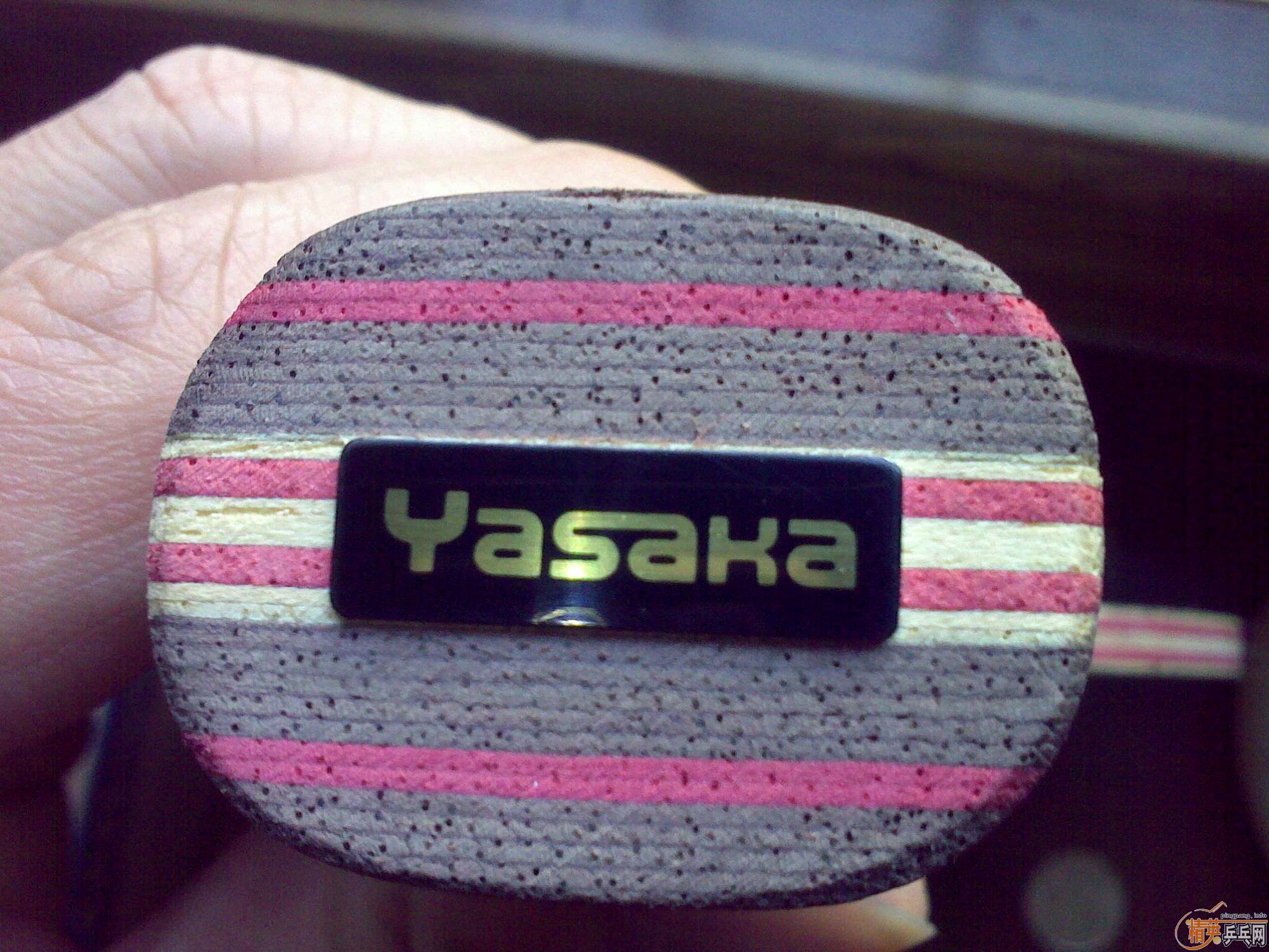 ��ֻ����2�ε��հ�CL��Fl����9���µ�ŷ��ֱ��CL��st