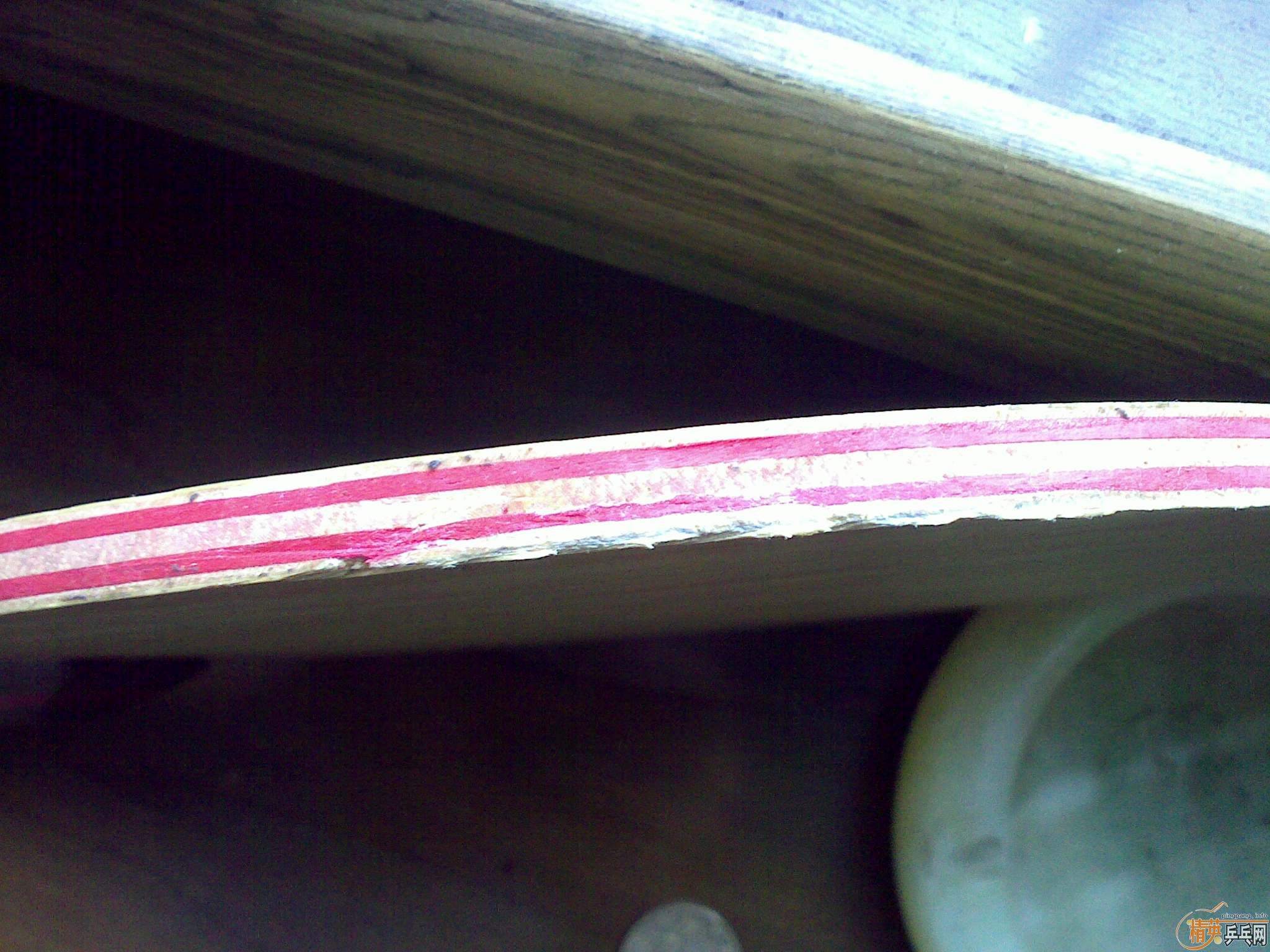 ��ֻ����2�ε��հ�CL��Fl����9���µ�ŷ��ֱ��CL��st