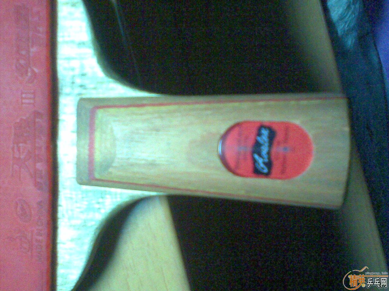 ���ָм��ѵİ�����p500 ֱ�ĺ�palio TNA