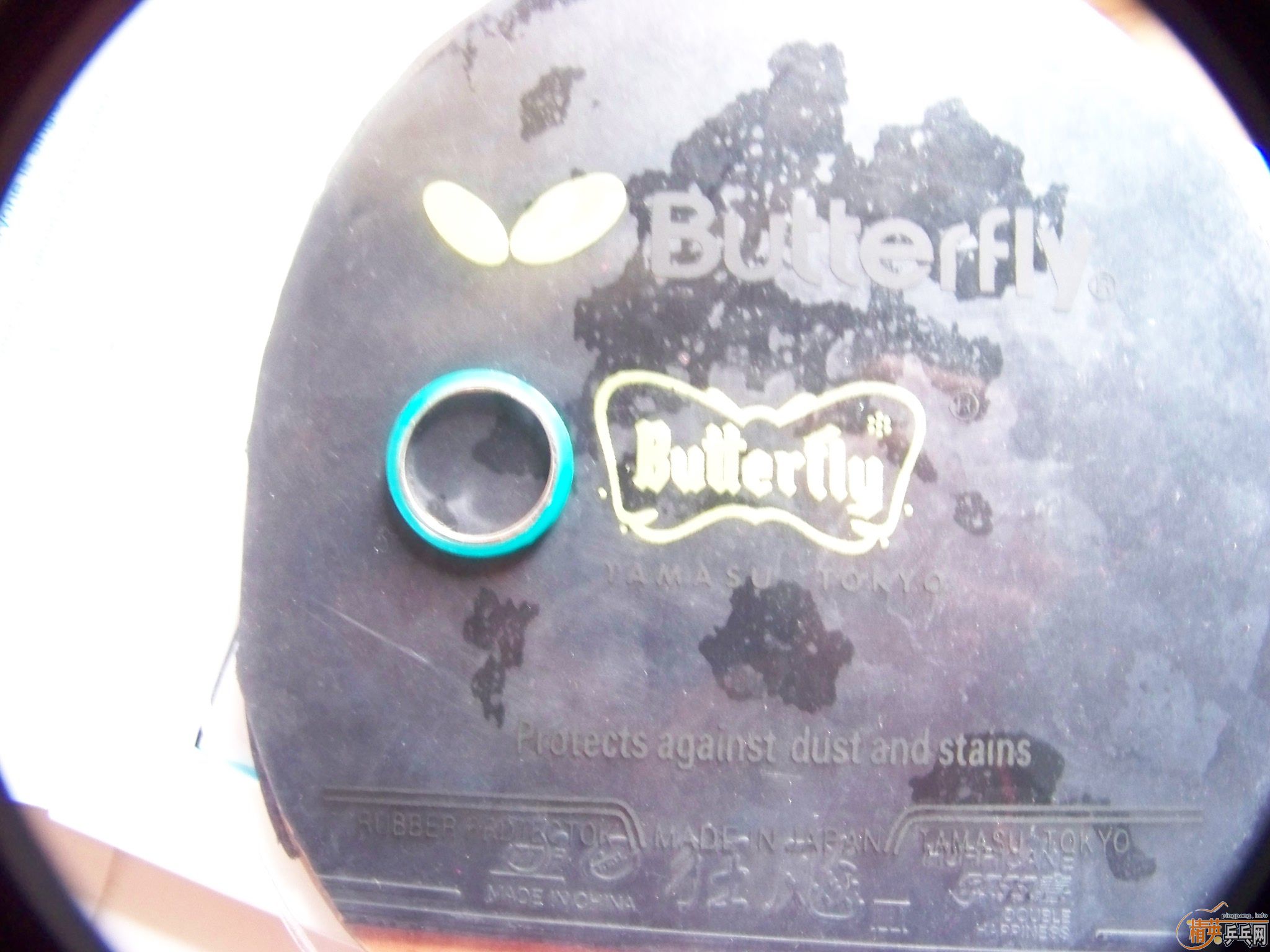 ��������,������