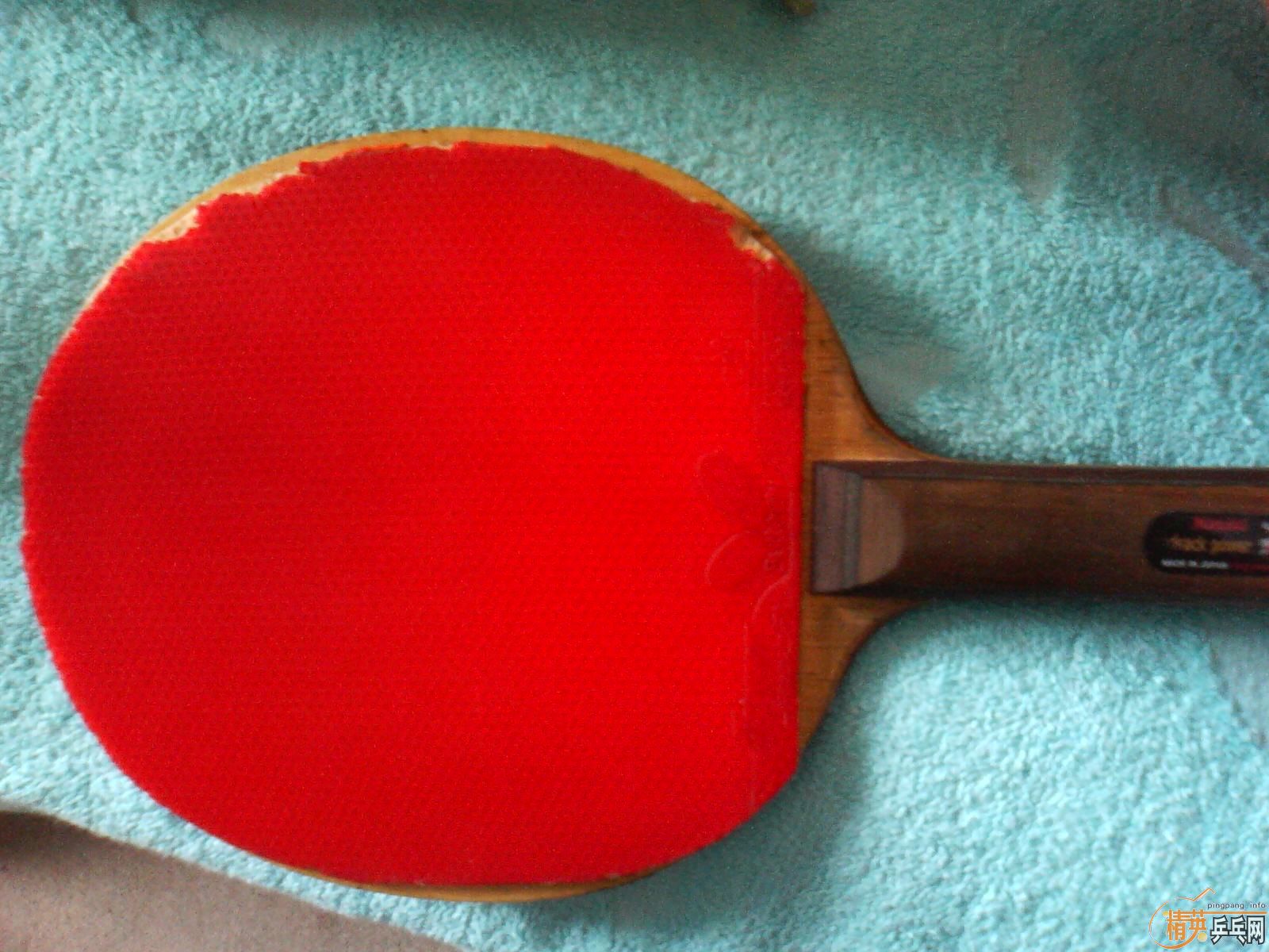 [ԭ��]����ɫ��ͣ�speed FX