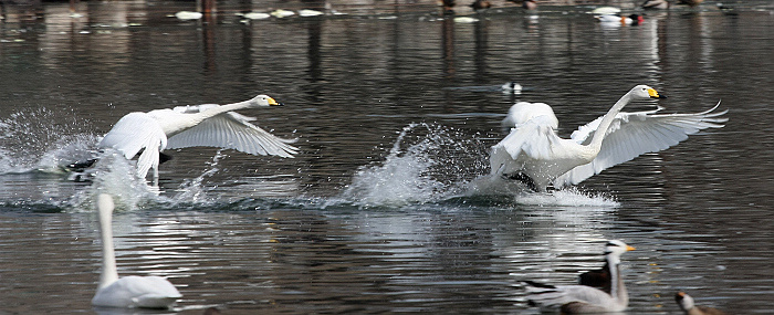 ���쵽������һ�������֡�