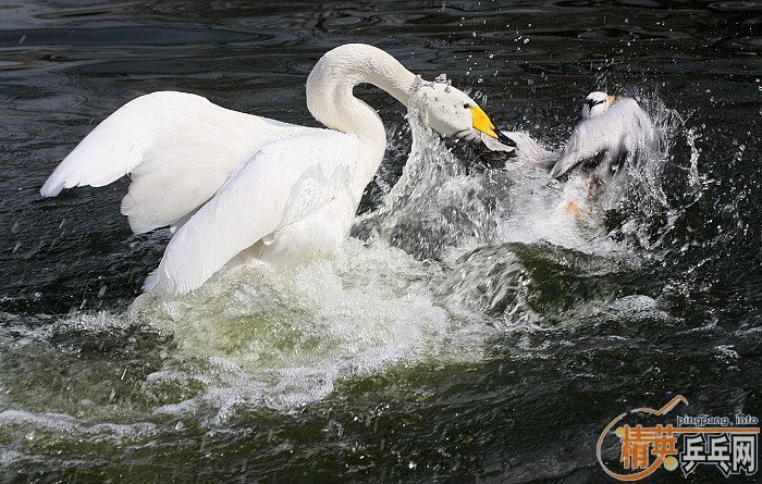 ���쵽������һ�������֡�