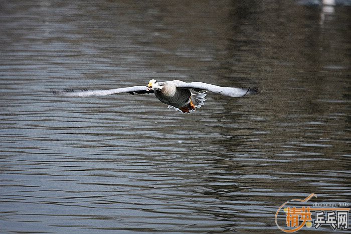 ���쵽������һ�������֡�