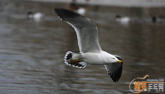 ���쵽������һ�������֡�