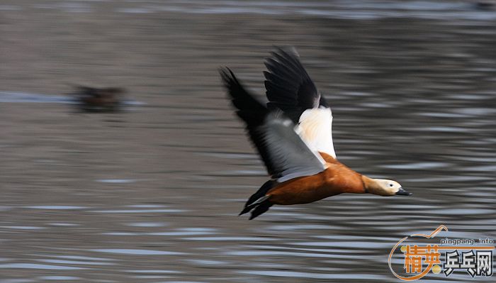 ���쵽������һ�������֡�