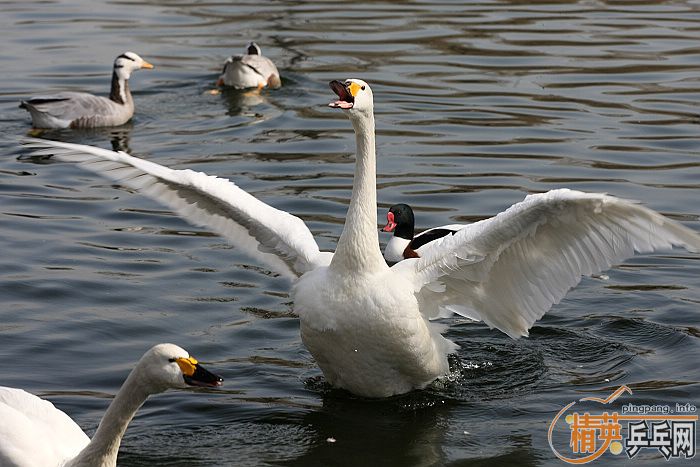 ���쵽������һ�������֡�