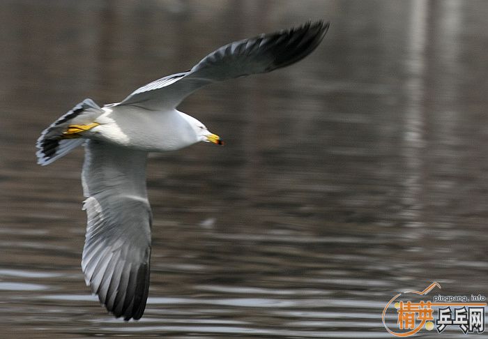 ���쵽������һ�������֡�