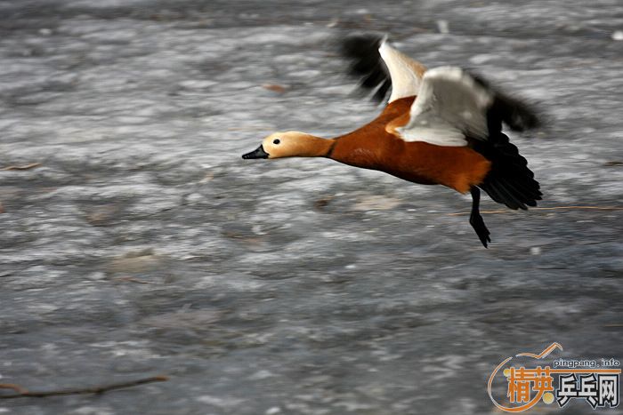 ���쵽������һ�������֡�