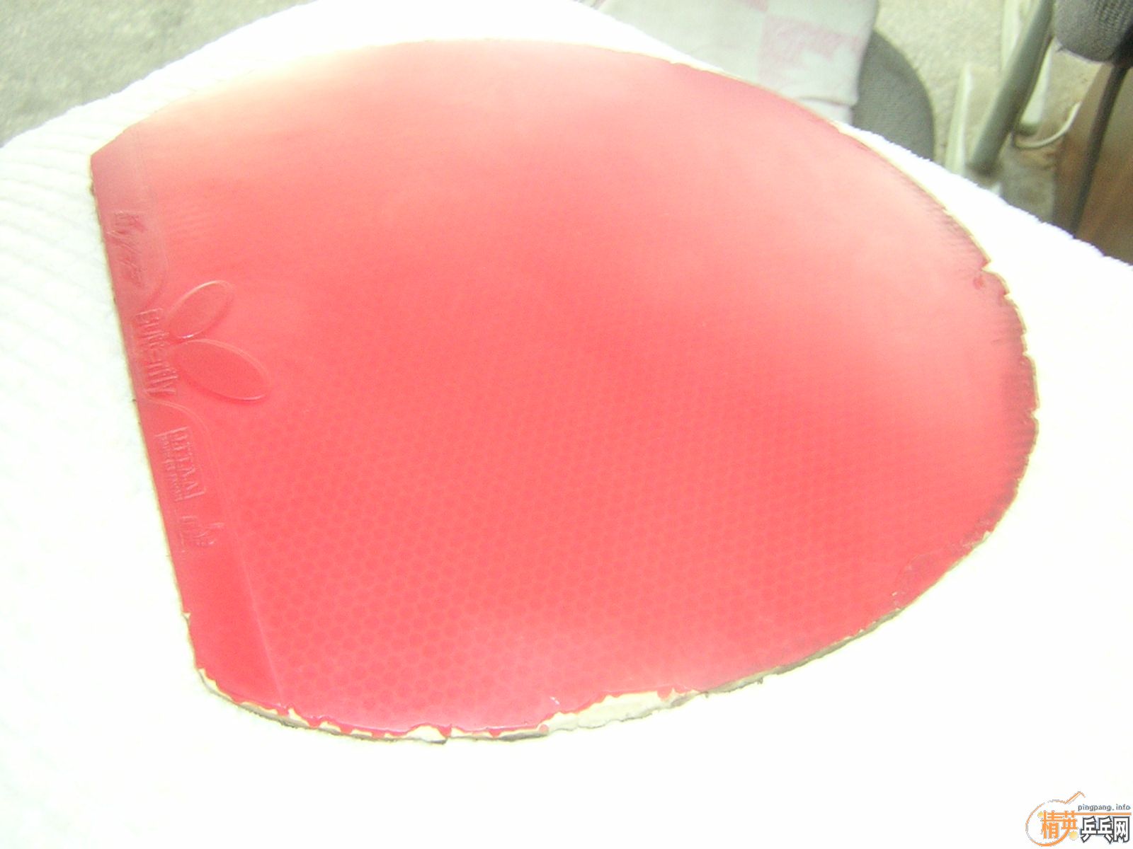 ��Щ����  ���򻻣���-->yanxin270ת��