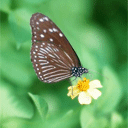 ����ÿ�ձ�������