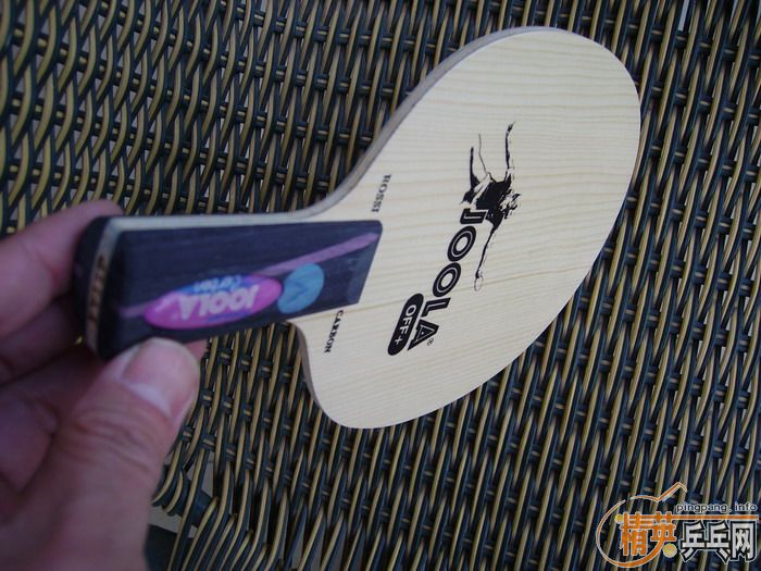 㡿¹Joola Rosskopf Carbon˹̼
