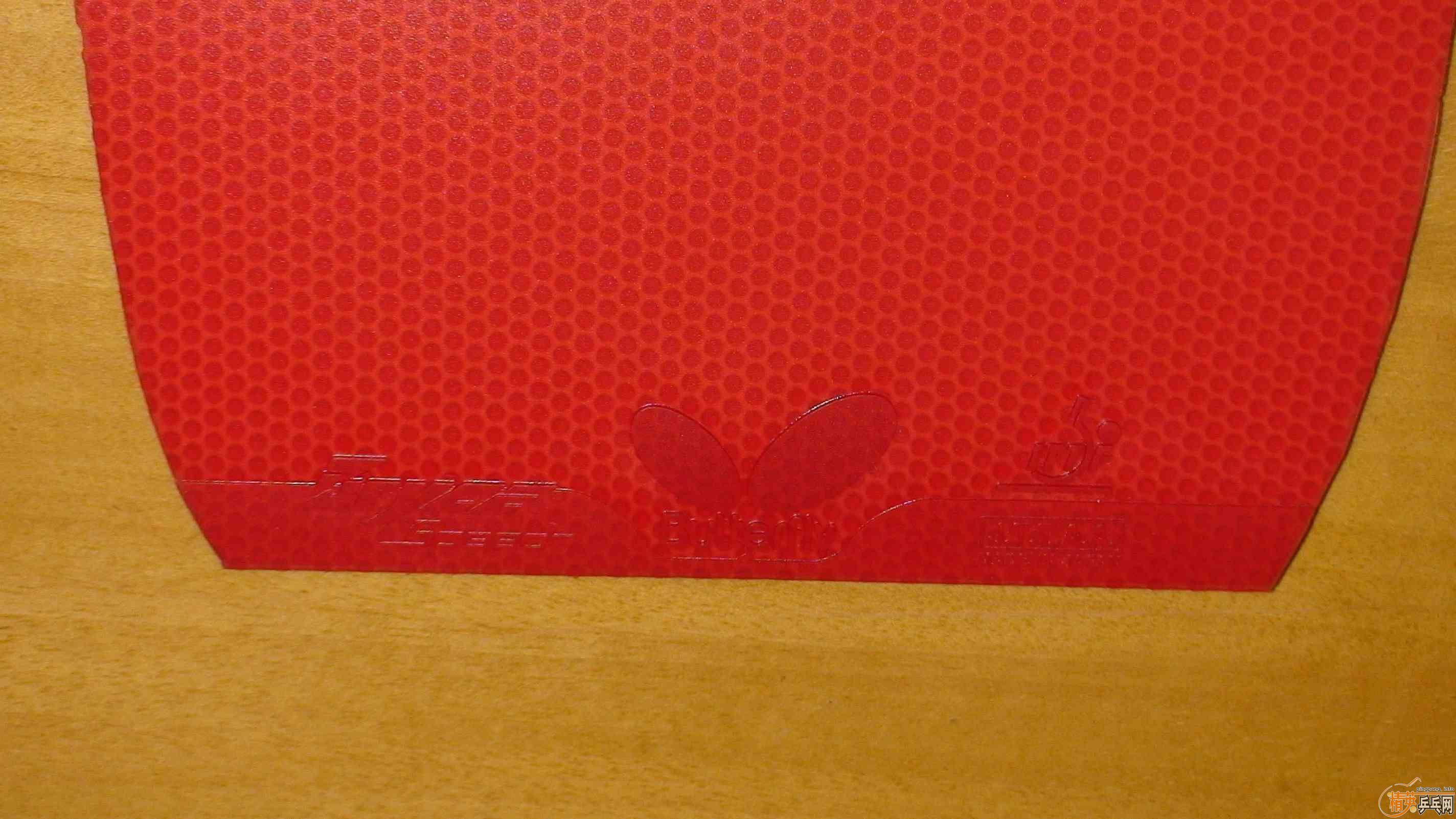 ��9.8���º�����ֱ����ٶ���BRYCE SPEED����