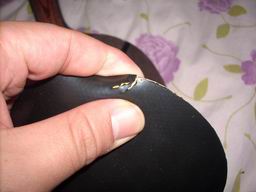 ��������EL��Ƥ