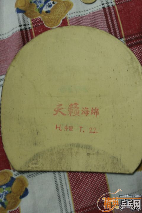 ��OC��������̼2020���������׽�