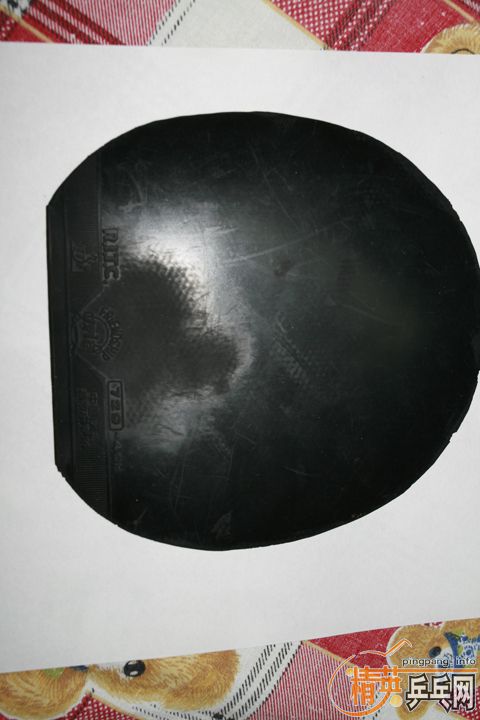 ��OC��������̼2020���������׽�