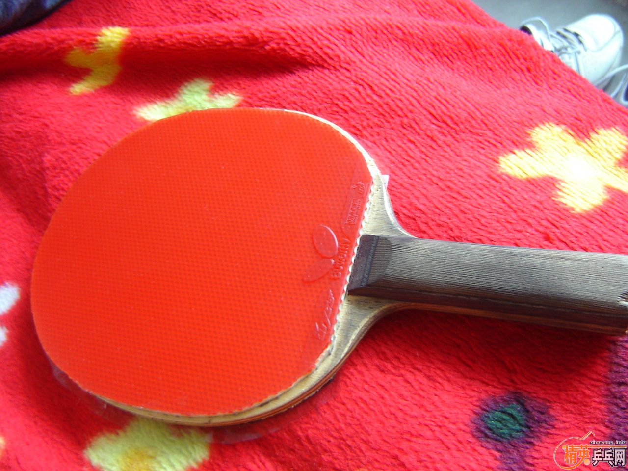 ���׽��ˣ���9�´��