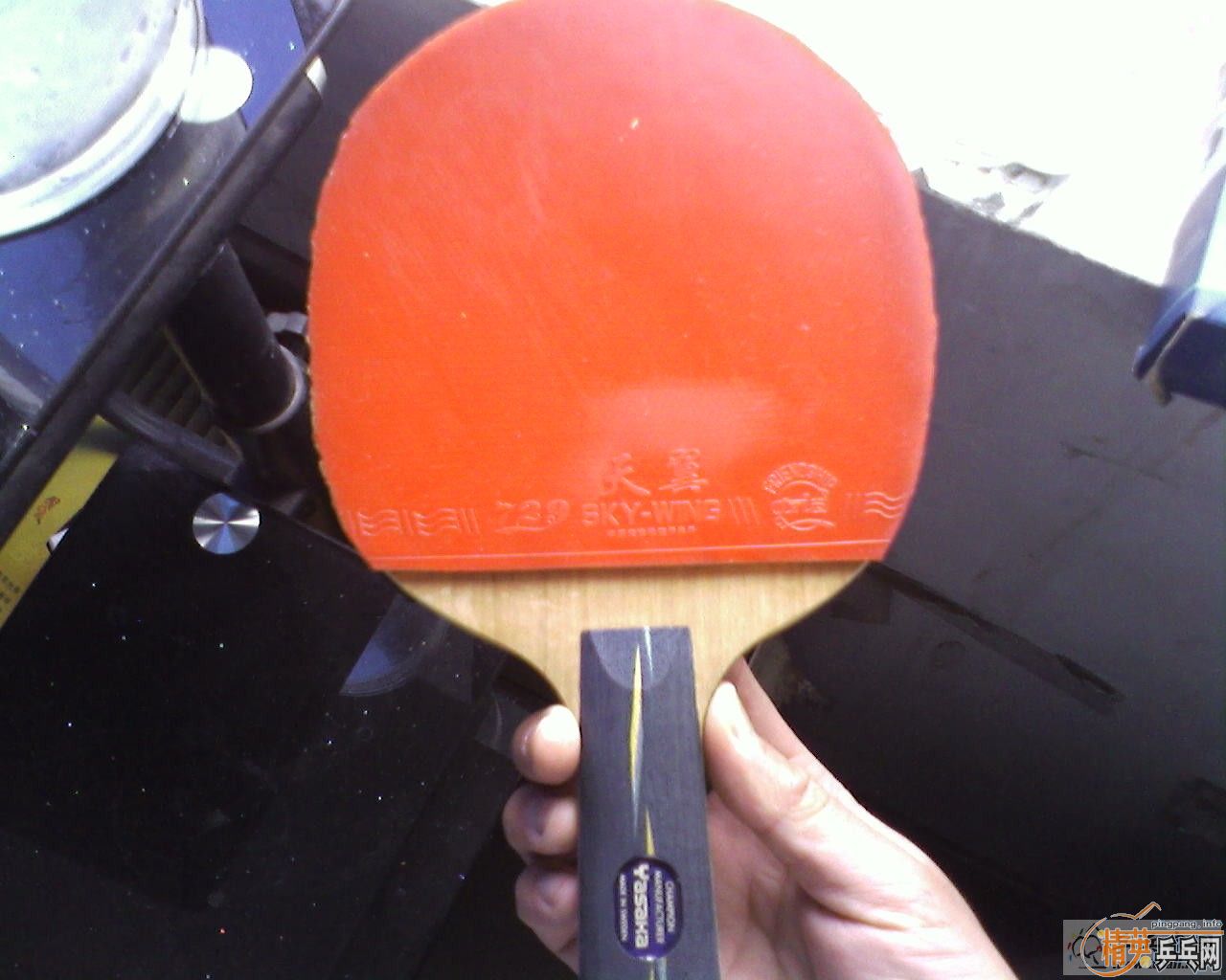 [ԭ��]�հ�yeֱ���ž��£�300���죬��һ������