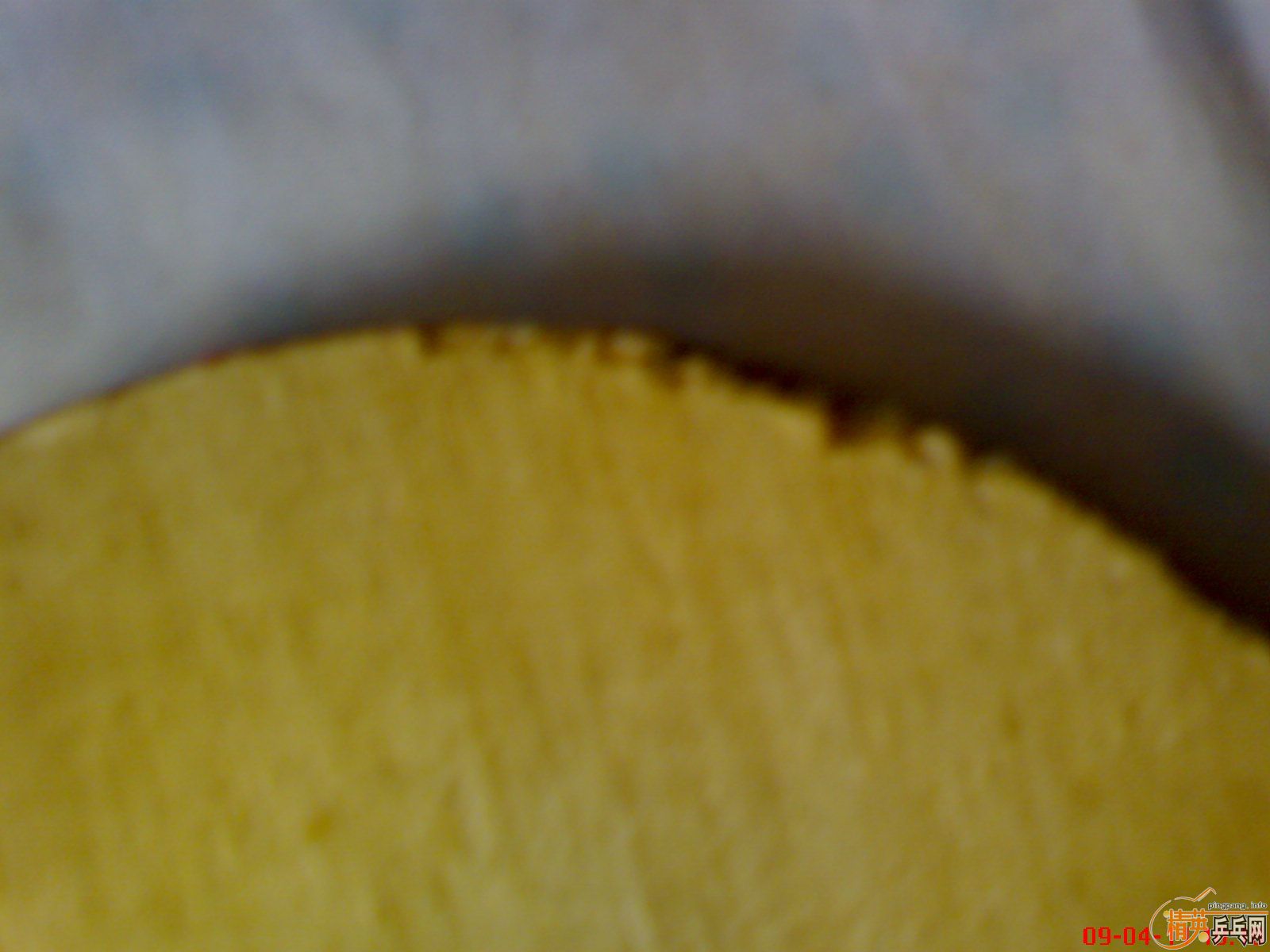 ��һ��� ��Ծ��  ��ľ��̼   �ͽ�Ƥ