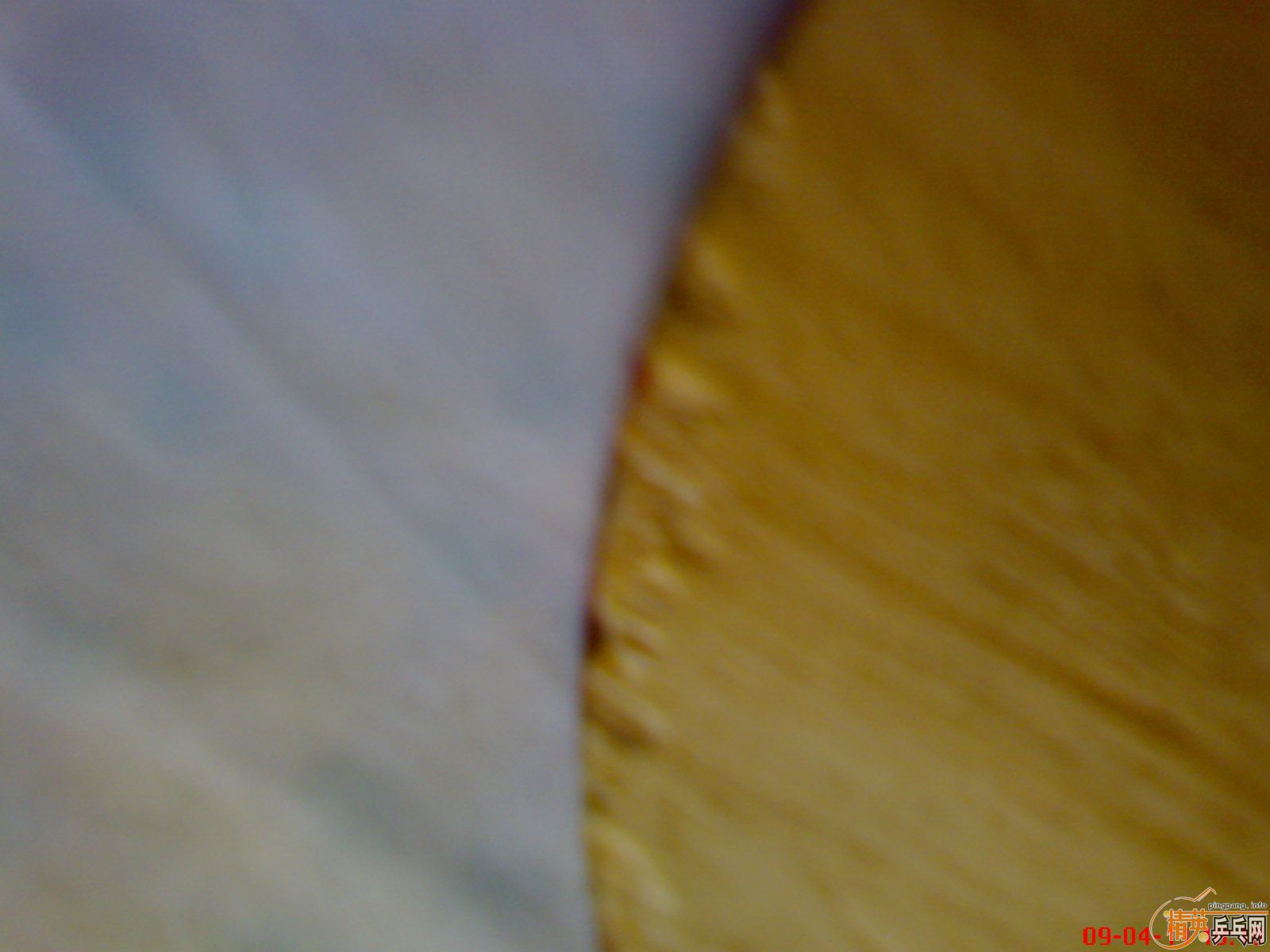 ��һ��� ��Ծ��  ��ľ��̼   �ͽ�Ƥ