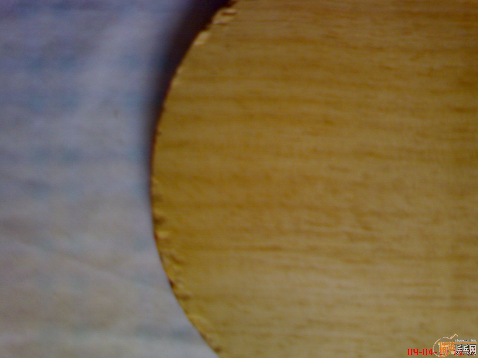 ��һ��� ��Ծ��  ��ľ��̼   �ͽ�Ƥ