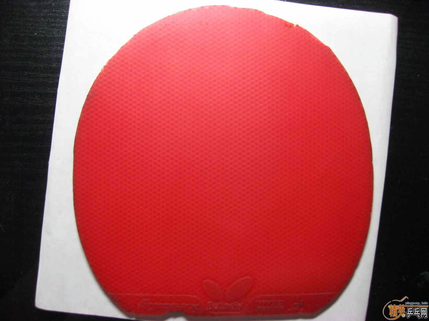 ����bryceFX��60EMS�͵���