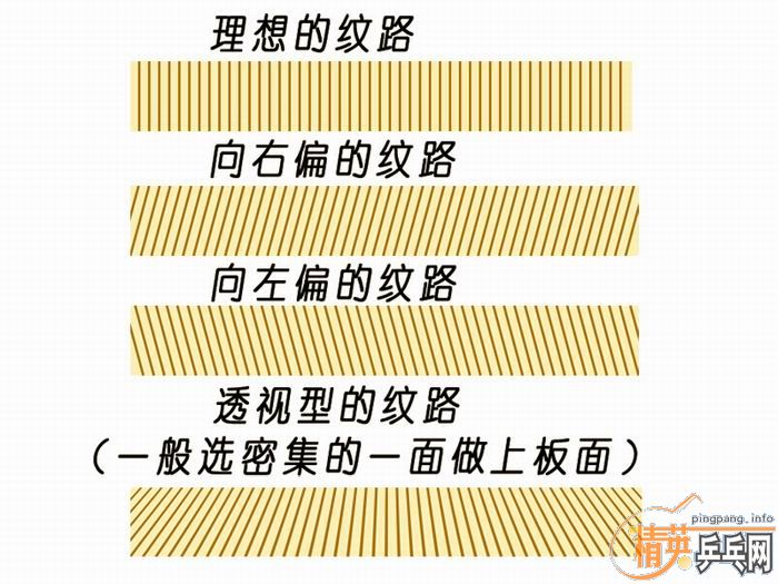 ޻ʱ˵弼