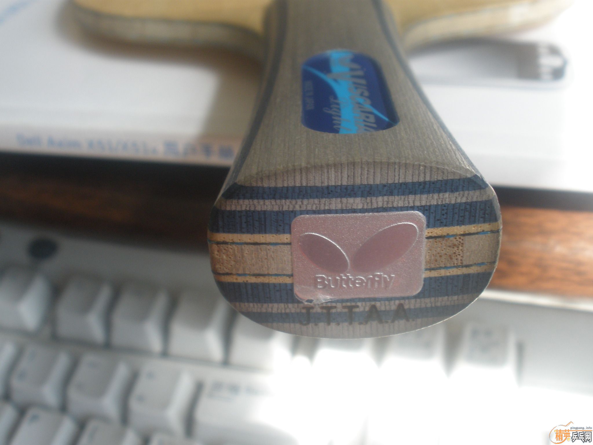 ��ˮ������������Ӻ����麣��Ƥ