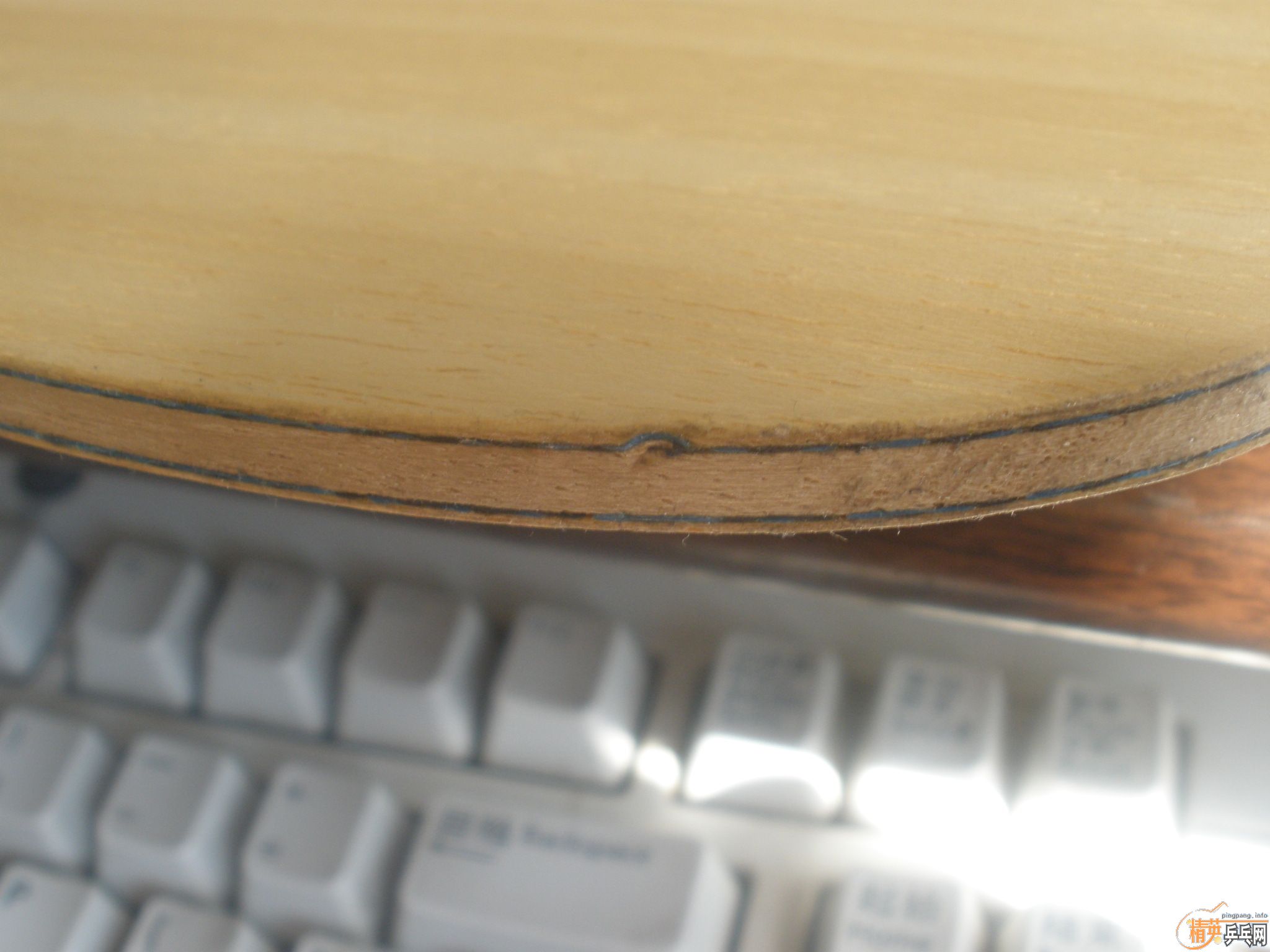 ��ˮ������������Ӻ����麣��Ƥ