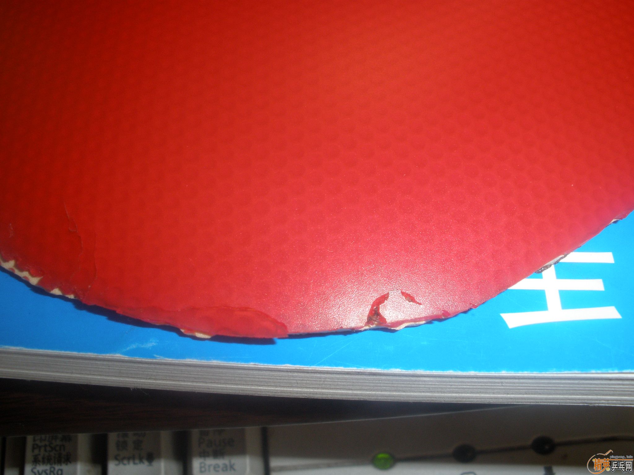 �������������