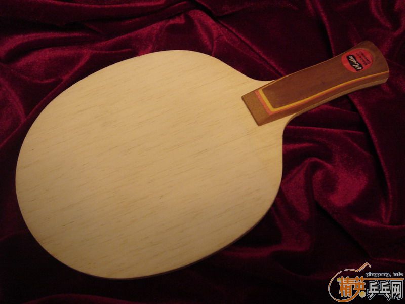 AN���͵��Ͽ��ر�������P500