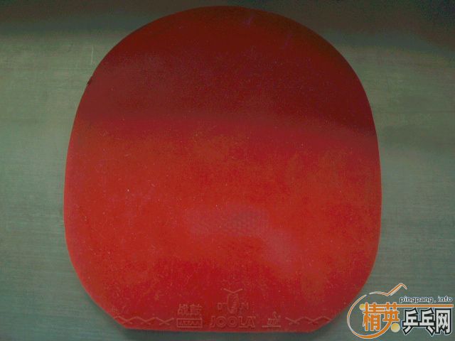 �����ѳ����NO5������ս�ģ�˹���֣�ȫ��֧��֧����}