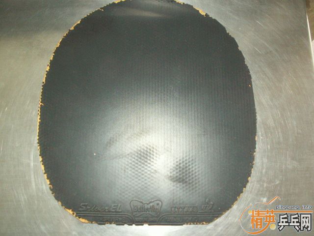 �����ѳ����NO5������ս�ģ�˹���֣�ȫ��֧��֧����}