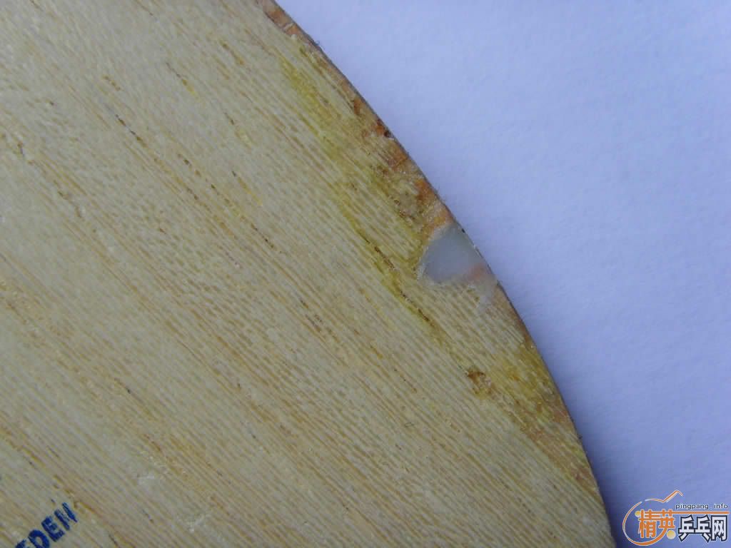 ���������õ�R5