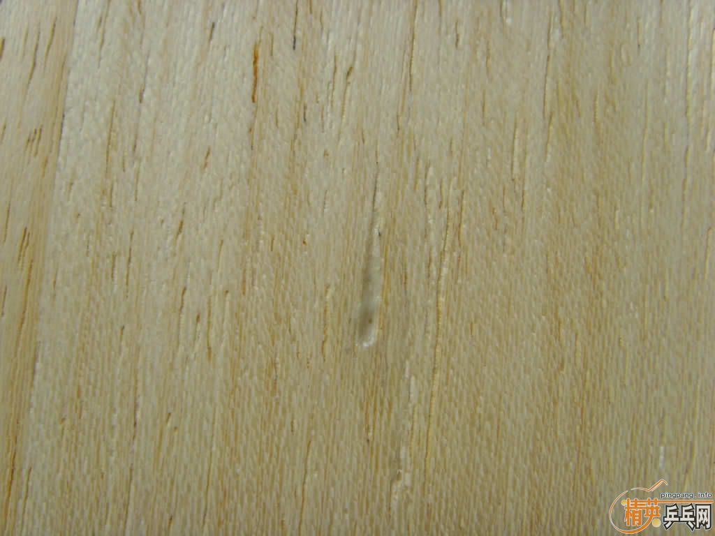 ���������õ�R5